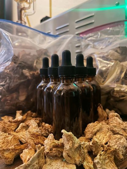 Mushroom Dual Extract Tinctures