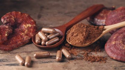 Ganoderma,Lucidum,Capsule,On,Wooden,Background,ling,Zhi,Mushroom,-,Vintage